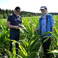 Addconilta Jani Huuha ja ViljelijänBerneriltä Maarit Viljakainen ihastelevat hyvin kasvanutta Pioneerin maissilajiketta